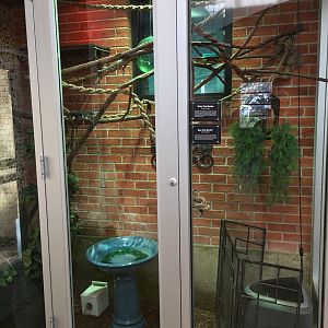 Tree monitor exhibit