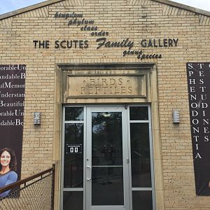 Scutes Family Gallery entrance