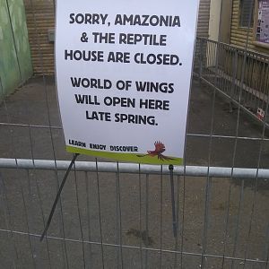 world of wings coming soon