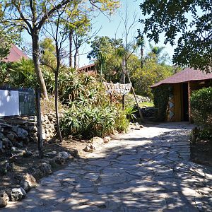 Fruit Bat/Reptile House Approach at Selwo Aventura, 13/03/19