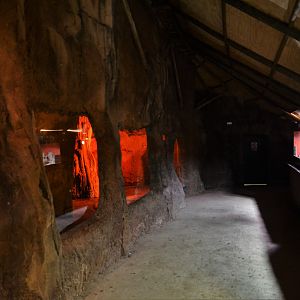 Egyptian Fruit Bat Enclosure and Small Reptile Vivaria at Selwo Aventura, 13/03/19