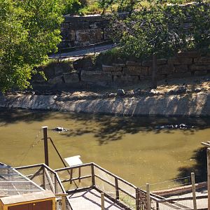 Hippo Pool at Selwo Aventura, 13/03/19