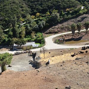 Lake Reserve and Rhino House at Selwo Aventura, 13/03/19