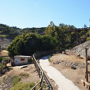 Angolan Giraffe/Chapman's Zebra Paddock at Selwo Aventura, 13/03/19