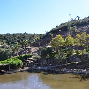 Hippo Pool and Lake Reserve at Selwo Aventura, 13/03/19