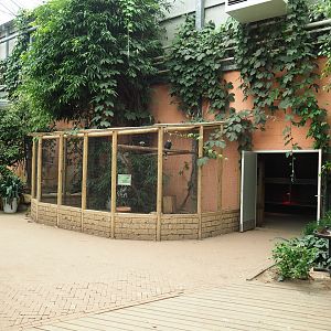 View of Silvery hornbill and lapwing aviary and entrance to terrarium and bird raising room (Aug 28th, 2018)