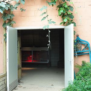 Entrance to terrarium and bird raising room (Aug 28th, 2018)