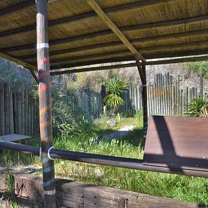 Empty Enclosure at Selwo Aventura, 13/03/19