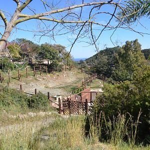 Asian Elephant Side Paddock at Selwo Aventura, 13/03/19