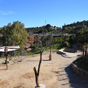 Asian Elephant Paddock at Selwo Aventura, 13/03/19