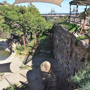 Asian Elephant Paddock at Selwo Aventura, 13/03/19
