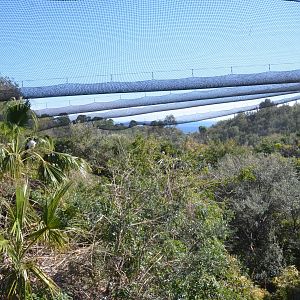 Bird Canyon Aviary at Selwo Aventura, 13/03/19