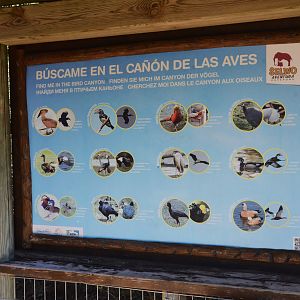 Bird Canyon Aviary Signage at Selwo Aventura, 13/03/19