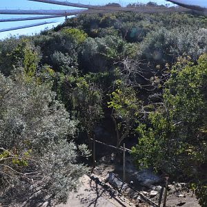 Bird Canyon Aviary at Selwo Aventura, 13/03/19