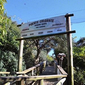Bird Canyon Aviary at Selwo Aventura, 13/03/19