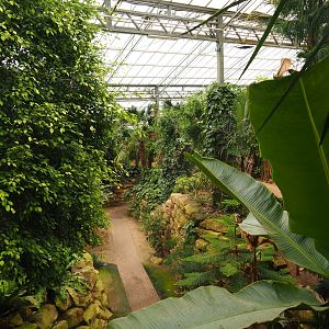 View into the Tropical hall (Aug 28th, 2018)