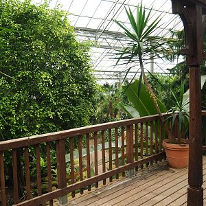 Tropical hall viewing deck (Aug 28th, 2018)