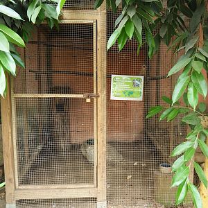 Blue-winged kookaburra cage (Aug 28th, 2018)