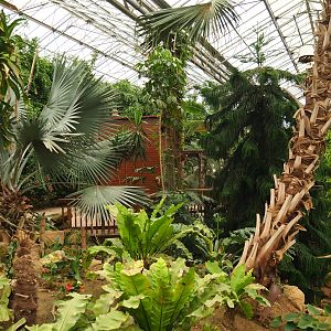 View in Tropical hall towards elevator shack (Aug 28th, 2018)