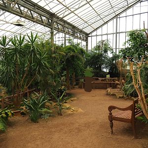 View in Tropical hall towards tortoise paddock (Aug 28th, 2018)
