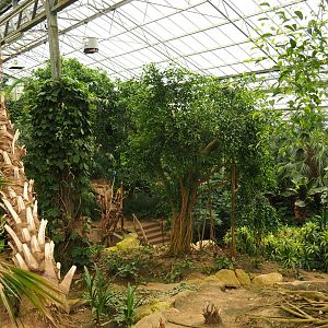 View in Tropical hall (Aug 28th, 2018)