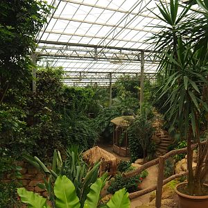 View in Tropical hall (Aug 28th, 2018)