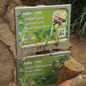 Dirty tortoise signs (Aug 28th, 2018)