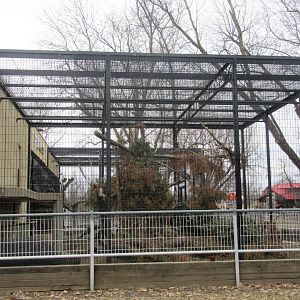 Squirrel Monkey Outdoor Exhibit Renovation