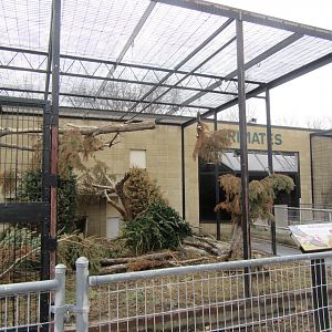 Squirrel Monkey Outdoor Exhibit Renovation