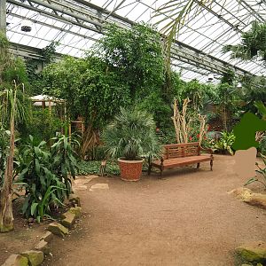 View in Tropical hall (Aug 28th, 2018)