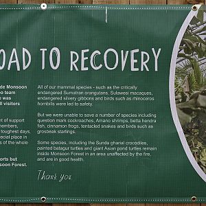 Monsoon Forest Information