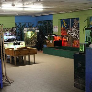 View of Reptile Exhibits