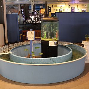 Flounder, Pompano, & Mojarra Enclosures