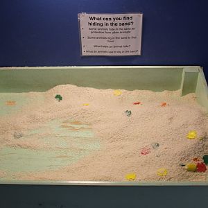 "Sand" Box
