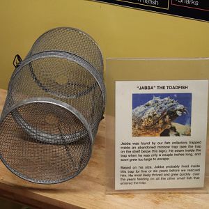 Gulf Toadfish Sign & Former Home