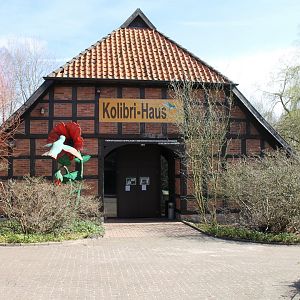 The outside of the Hummingbird house. (24/3-19)