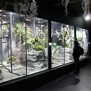 The inside of the Hummingbird house. (24/3-19)