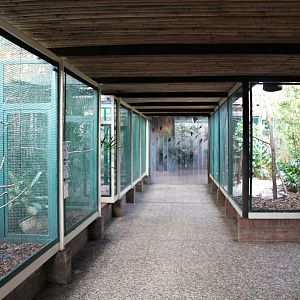 Aviaries in "Pukara" (24/3-19)