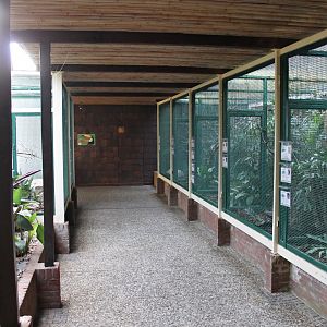 Aviaries in "Pukara" (24/3-19)