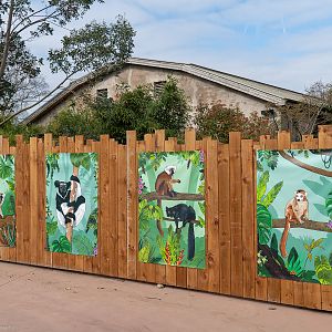 Artwork - Madagascar Exhibit - 26/03/2019