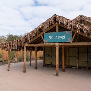 Buggy Park - Madagascar Exhibit - 26/03/2019