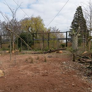 Black Lemur Enclosure - Madagascar Exhibit - 26/03/2019