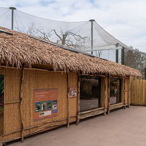 Fossa House - Madagascar Exhibit - 26/03/2019