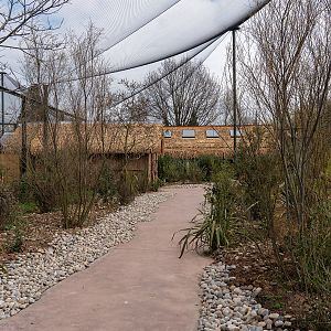 Mixed Walk-through - Madagascar Exhibit - 26/03/2019