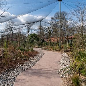 Mixed Walk-through - Madagascar Exhibit - 26/03/2019