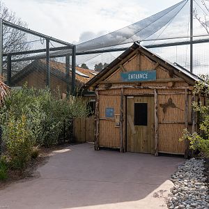 Entrance to Walk-through - Madagascar Exhibit - 26/03/2019