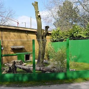 Komodo dragon outdoor enclosure