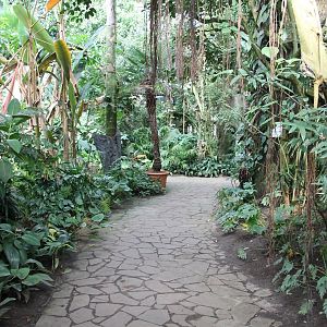 "Jungle trail" from the inside. (24/3-19)