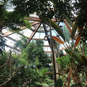 "Jungle trail" from the inside. (24/3-19)