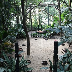 "Jungle trail" from the inside. (24/3-19)